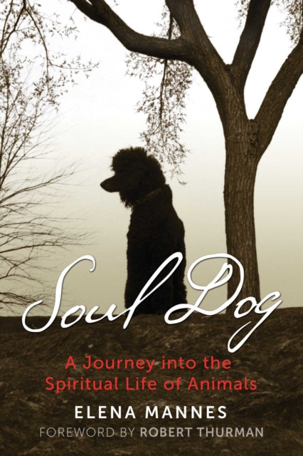 Book cover of: Soul Dog. By: Elena Mannes