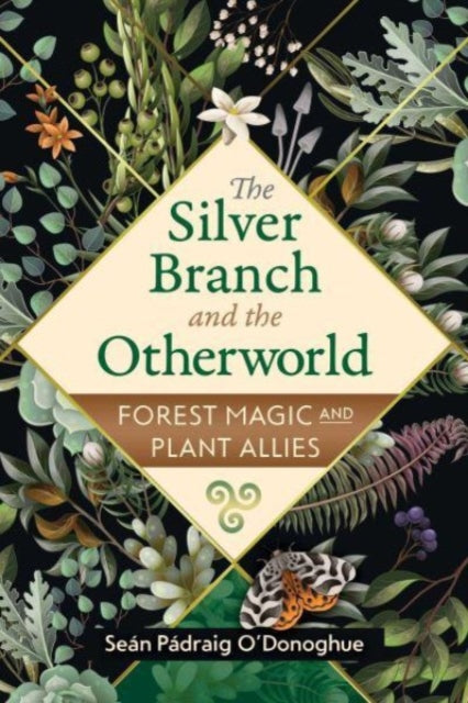 Book cover of: Silver Branch and the Otherworld. By: Seán Pádraig O'Donoghue