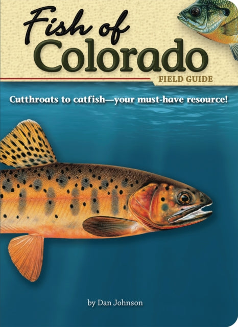 Book cover of: Fish of Colorado Field Guide. By: Dan Johnson