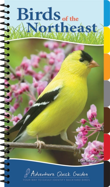 Book cover of: Birds of the Northeast. By: Stan Tekiela