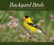 Book cover of: Backyard Birds. By: Stan Tekiela