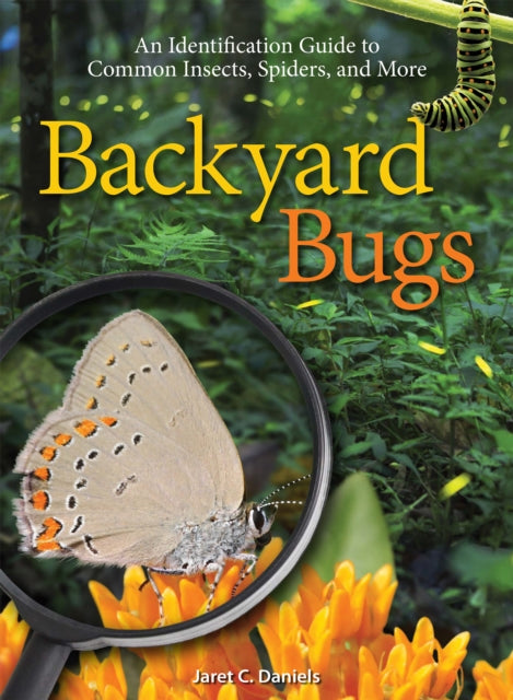 Book cover of: Backyard Bugs. By: Jaret C. Daniels