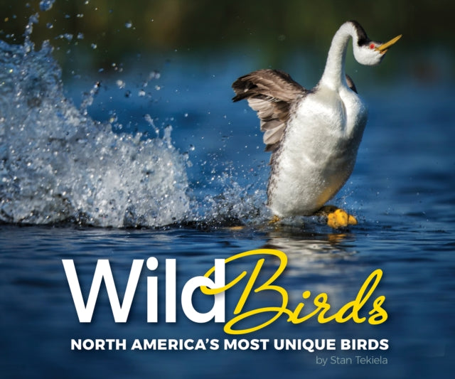 Book cover of: Wild Birds. By: Stan Tekiela