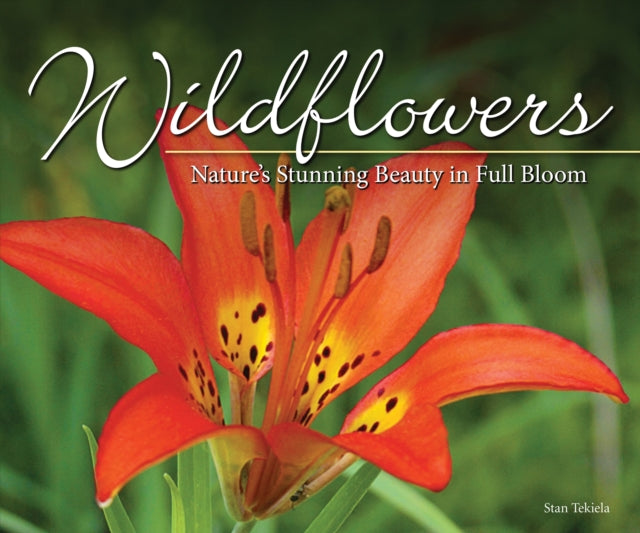 Book cover of: Wildflowers. By: Stan Tekiela