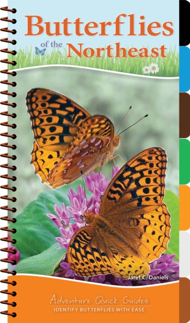 Book cover of: Butterflies of the Northeast. By: Jaret C. Daniels