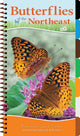 Book cover of: Butterflies of the Northeast. By: Jaret C. Daniels
