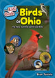 Book cover of: Kids' Guide to Birds of Ohio. By: Stan Tekiela