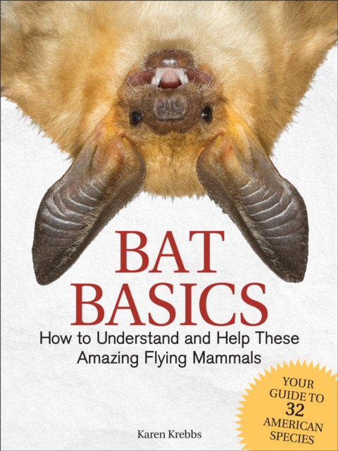 Book cover of: Bat Basics. By: Karen Krebbs