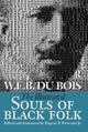 Book cover of: Illustrated Souls of Black Folk
