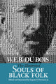 Book cover of: Illustrated Souls of Black Folk. By: W. E. B. Du Bois
