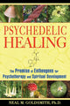 Book cover of: Psychedelic Healing