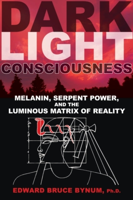 Book cover of: Dark Light Consciousness. By: Edward Bruce Bynum