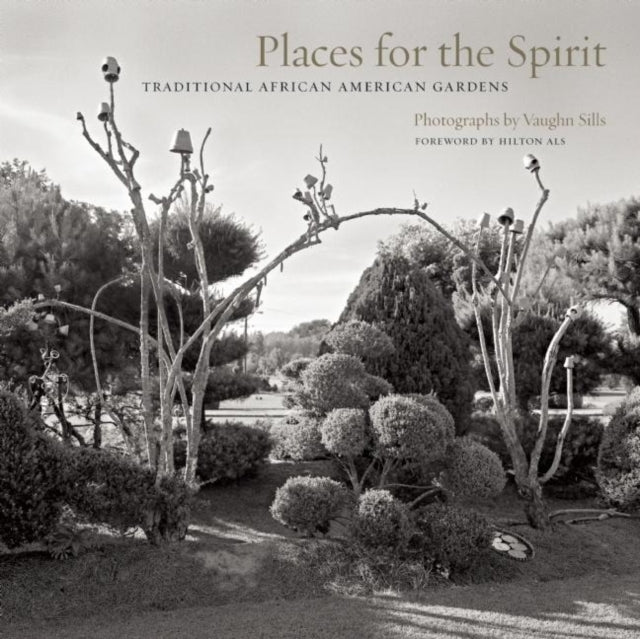 Book cover of: Places for the Spirit. By: Vaughn Sills