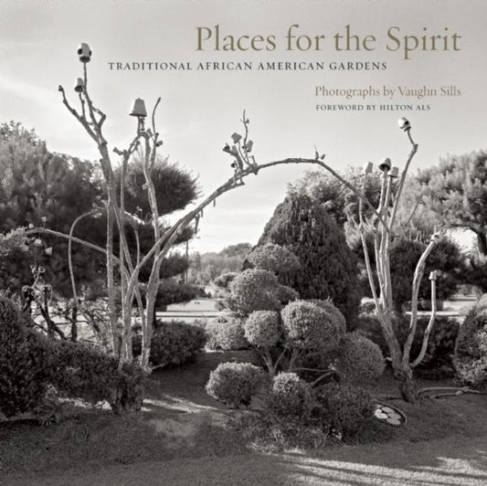 Book cover of: Places for the Spirit. By: Vaughn Sills