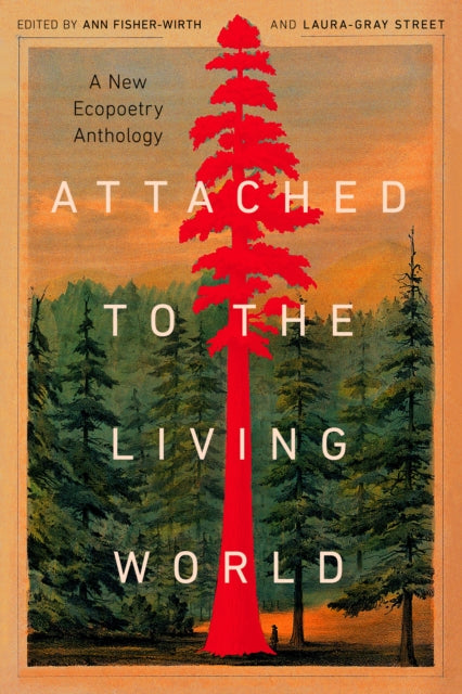 Book cover of: Attached to the Living World. By: Ann Fisher-Wirth