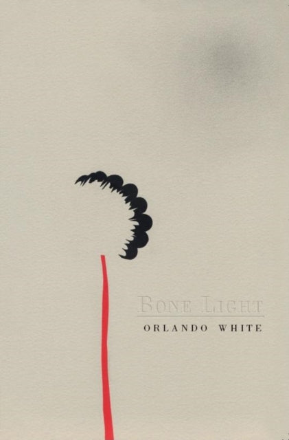 Book cover of: Bone Light. By: Orlando White