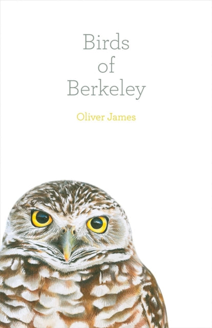 Book cover of: Birds of Berkeley. By: Oliver James
