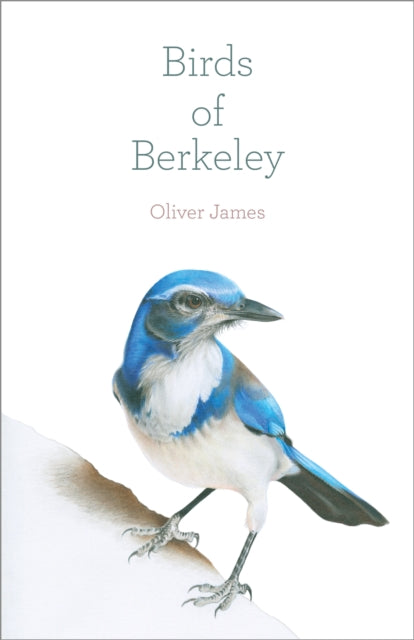 Book cover of: Birds of Berkeley. By: Oliver James