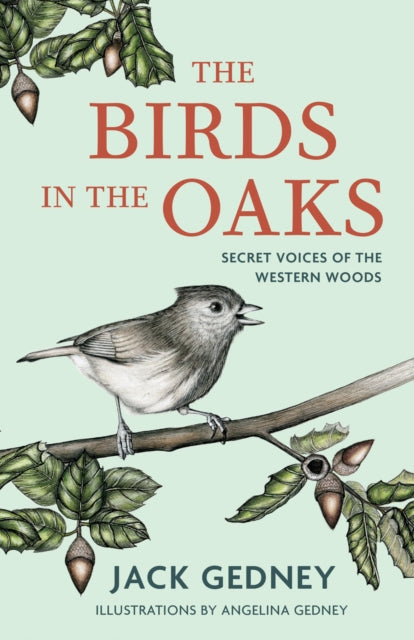 Book cover of: Birds in the Oaks. By: Jack Gedney