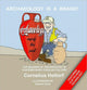 Book cover of: Archaeology Is a Brand!. By: Cornelius Holtorf