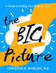 Book cover of: Big Picture. By: Christine B. Whelan