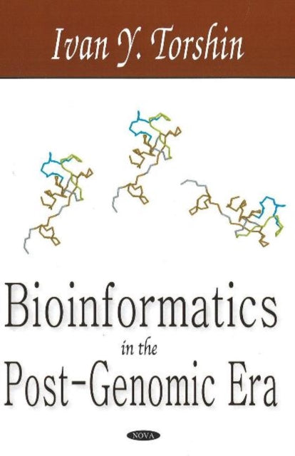 Book cover of: Bioinformatics in the Post-Genomic Era. By: Ivan Y. Torshin