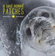 Book cover of: Seal Named Patches. By: Roxanne Beltran