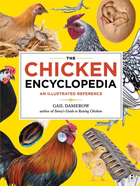 Book cover of: Chicken Encyclopedia. By: Gail Damerow