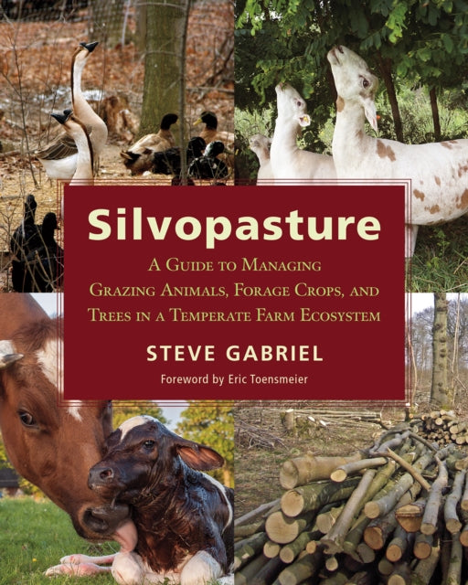 Book cover of: Silvopasture. By: Steve Gabriel
