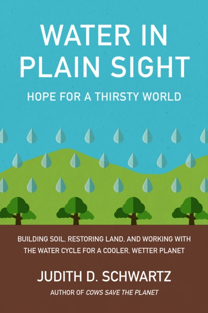 Book cover of: Water in Plain Sight. By: Judith Schwartz
