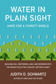 Book cover of: Water in Plain Sight. By: Judith Schwartz