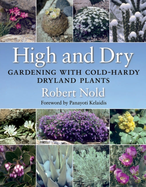 Book cover of: High and Dry. By: Robert Nold
