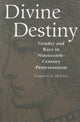 Book cover of: Divine Destiny. By: Carolyn A. Haynes