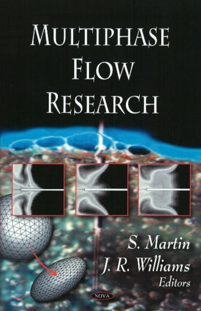 Book cover of: Multiphase Flow Research