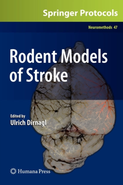 Book cover of: Rodent Models of Stroke. By: Ulrich Dirnagl