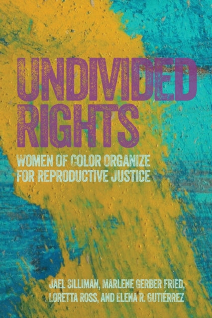 Book cover of: Undivided Rights. By: Jael Silliman