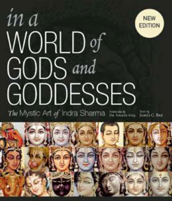 Book cover of: In a World of Gods and Goddesses. By: James H Bae