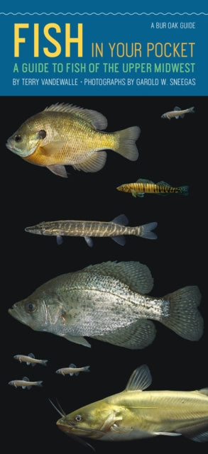 Book cover of: Fish in Your Pocket
