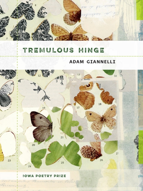 Book cover of: Tremulous Hinge. By: Adam Giannelli
