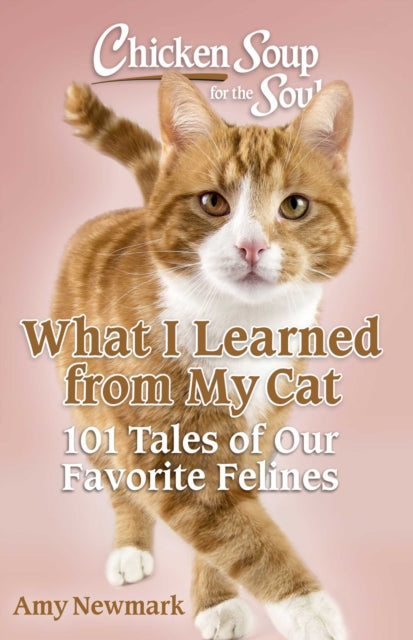 Book cover of: Chicken Soup for the Soul: What I Learned from My Cat