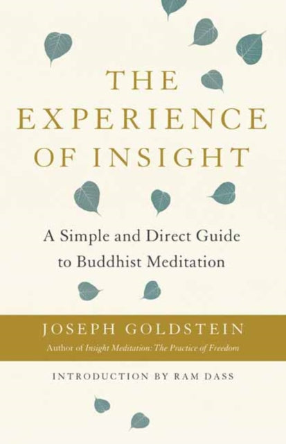 Book cover of: Experience of Insight. By: Joseph Goldstein