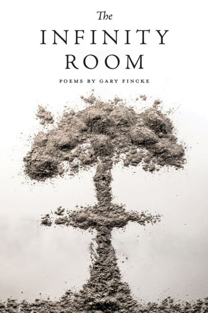Book cover of: Infinity Room. By: Gary Fincke