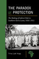Book cover of: Paradox of Protection