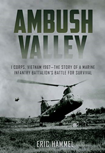 Book cover of: Ambush Valley. By: Eric Hammel