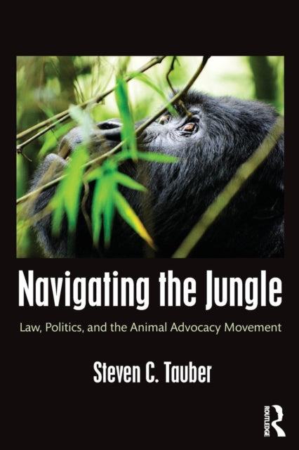 Book cover of: Navigating the Jungle. By: Steven C. Tauber