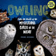 Book cover of: Owling. By: Mark Wilson
