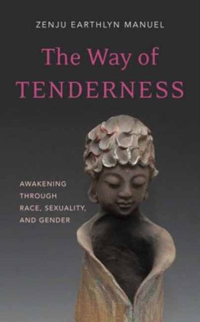 Book cover of: Way of Tenderness