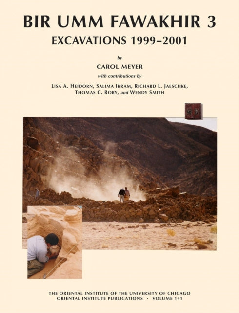 Book cover of: Bir Umm Fawakhir 3. By: Carol Meyer