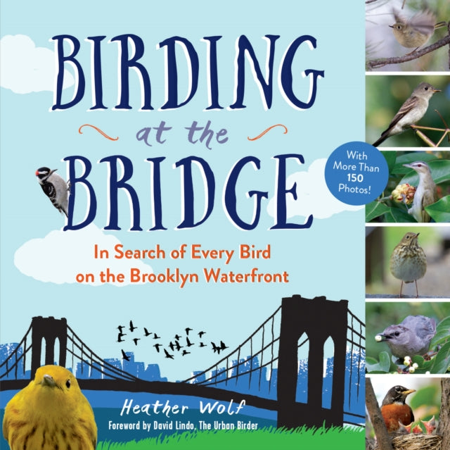 Book cover of: Birding at the Bridge. By: Heather Wolf