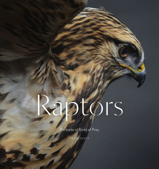 Book cover of: Raptors. By: Traer Scott